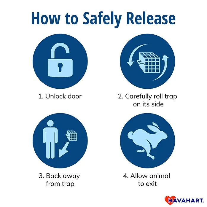 Havahart Easy Set Small 1-Door Animal Trap