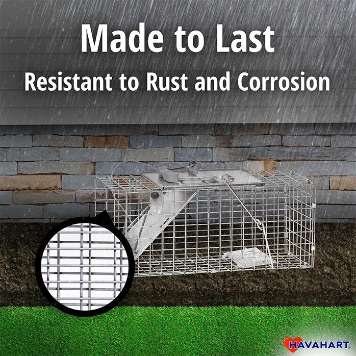 Havahart Easy Set Small 1-Door Animal Trap