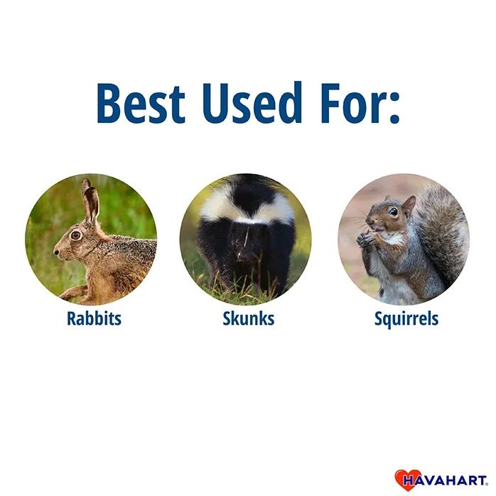 Havahart Easy Set Small 1-Door Animal Trap