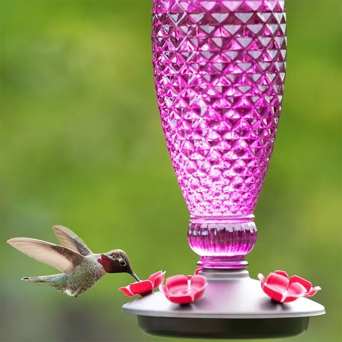 Perky-Pet Ready-To-Use Clear Hummingbird Nectar, 16-Oz, 4-Pk