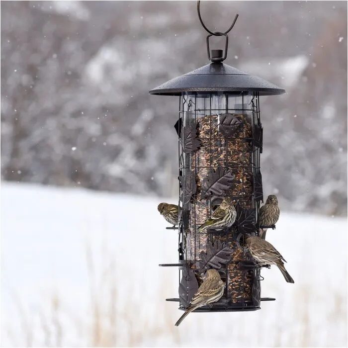 Perky-Pet Squirrel-Be-Gone III Wild Bird Feeder