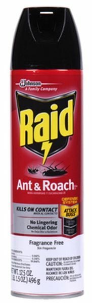 Raid Raid Ant & Roach Killer Aerosol - 17.5 oz