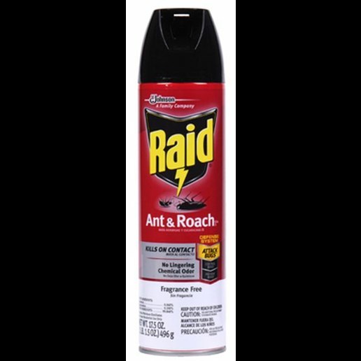 Raid Raid Ant & Roach Killer Aerosol - 17.5 oz