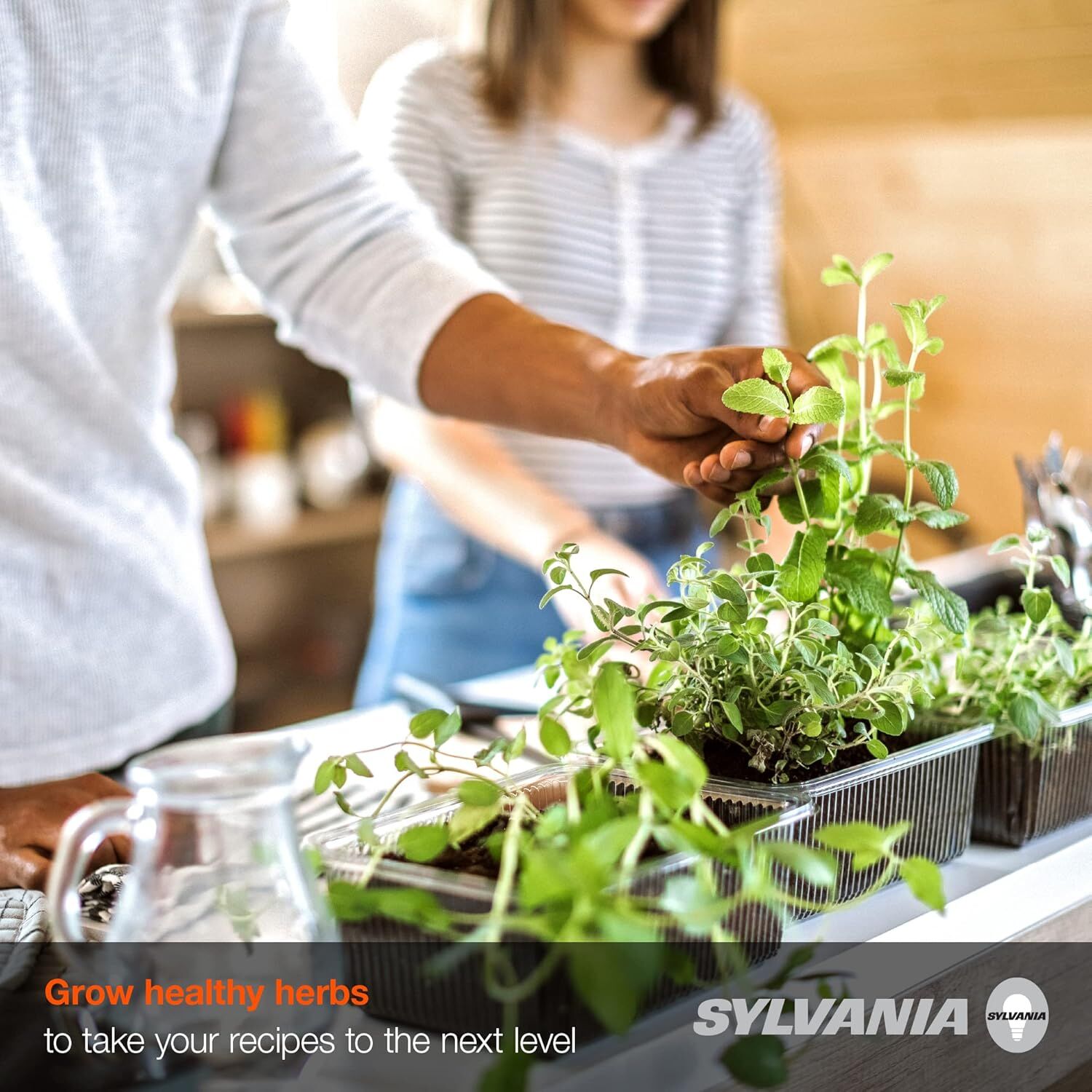 Sylvania Spot-Gro A19 60 Watt Frosted Soft White Dimmable Incandescent Grow Light Bulb