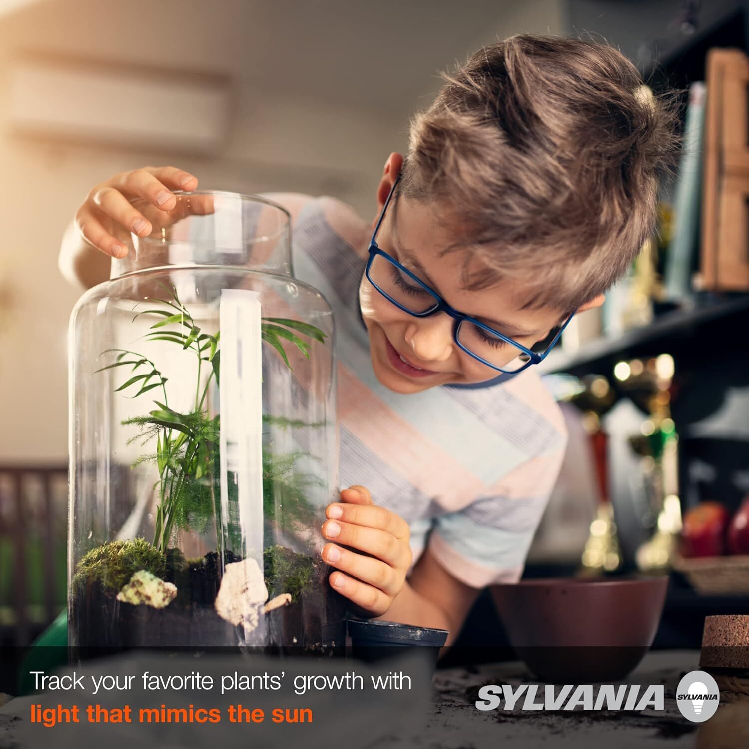 Sylvania Spot-Gro A19 60 Watt Frosted Soft White Dimmable Incandescent Grow Light Bulb