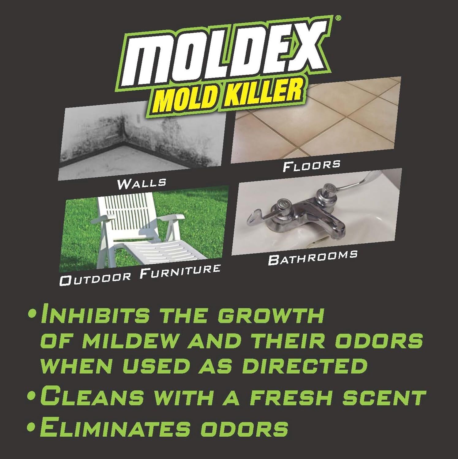 Moldex Mold & Mildew Killer, 32-Oz