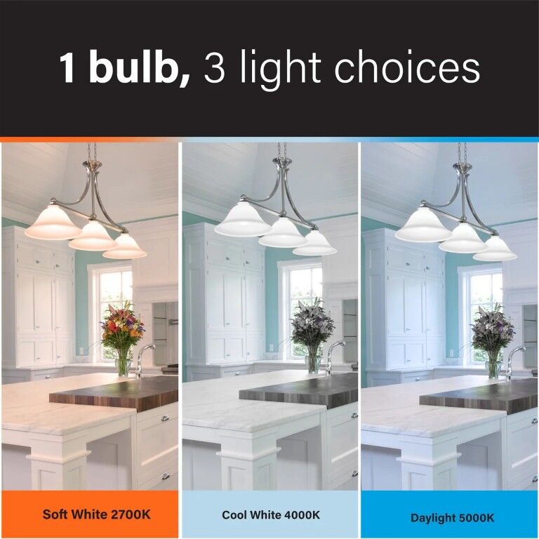 Feit Electric A21 25-Watt Color Selectable LED Light Bulb