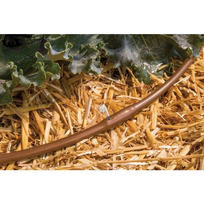 Rain Bird 12-In Spaced Emitter Tubing, 1/4-In x 50-Ft