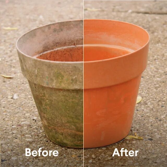 Clorox ProResults Outdoor Bleach Concentrate, 81-Oz