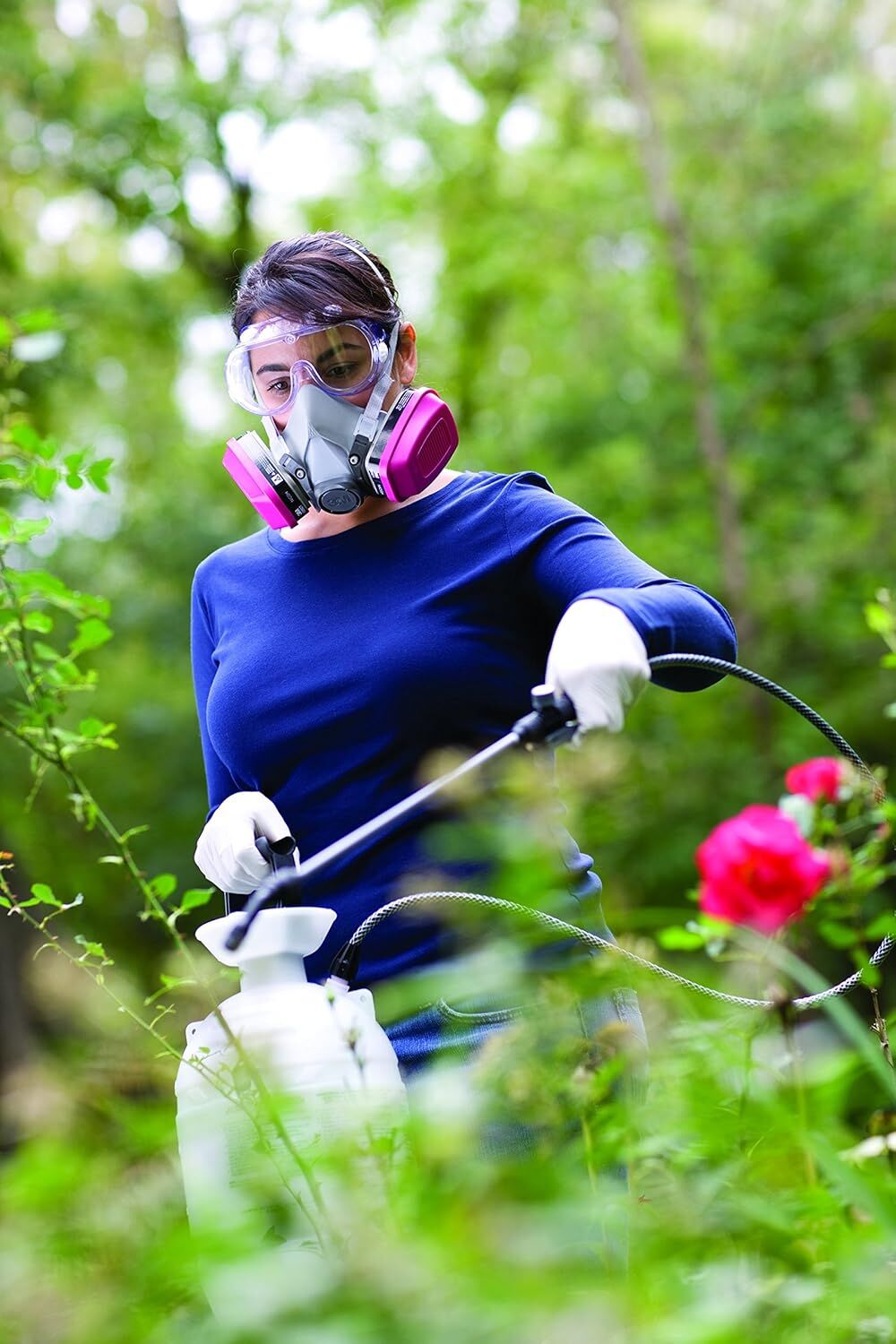 3M Clear Safety Goggles