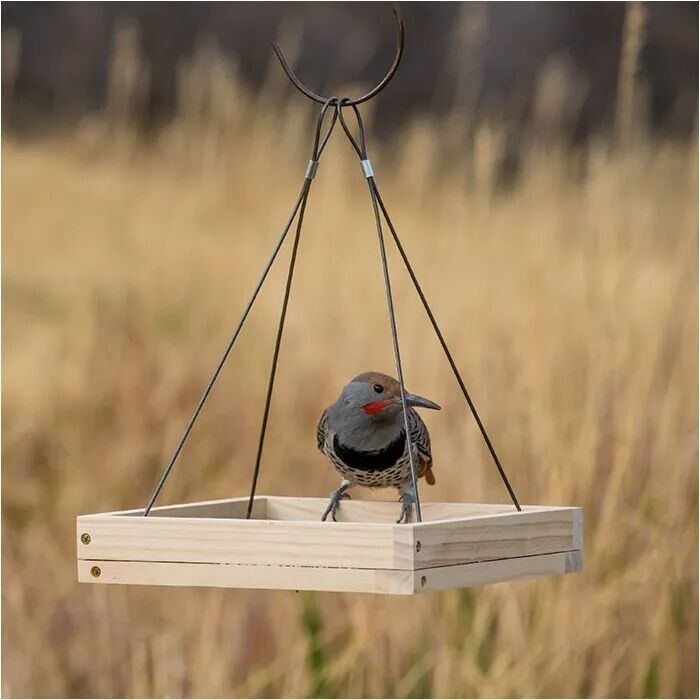 Perky-Pet Hanging Tray Brid Feeder, 1.6-Lb