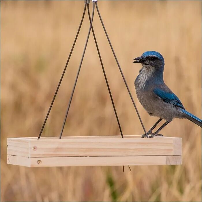 Perky-Pet Hanging Tray Brid Feeder, 1.6-Lb