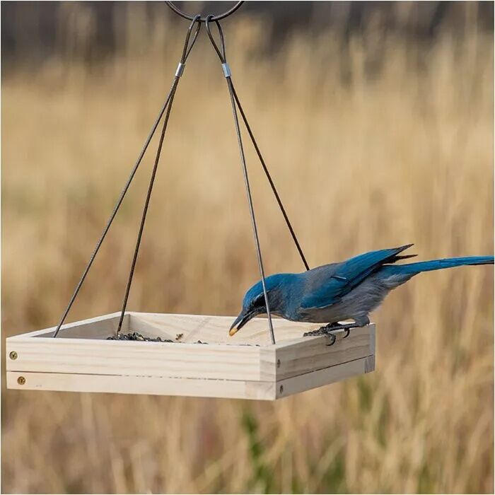 Perky-Pet Hanging Tray Brid Feeder, 1.6-Lb