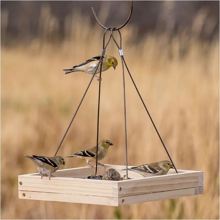 Perky-Pet Hanging Tray Brid Feeder, 1.6-Lb