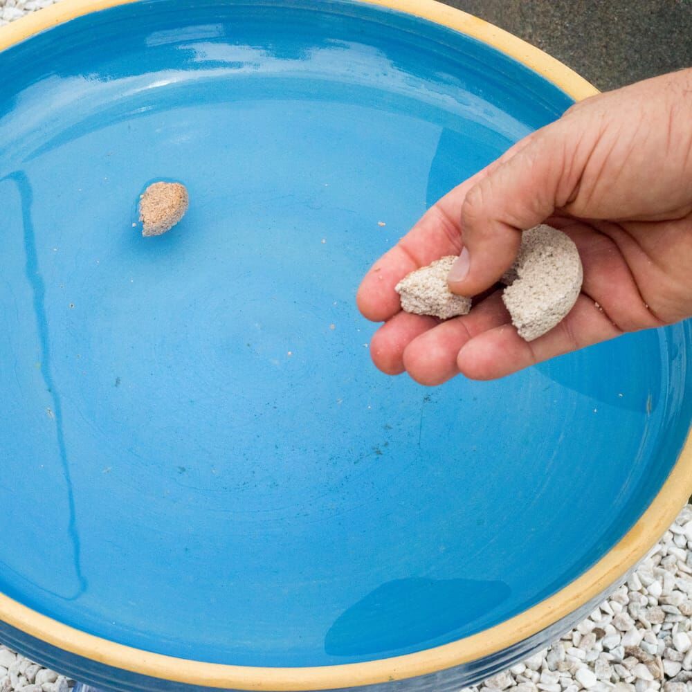 Summit Mosquito Dunks, 6-Pk