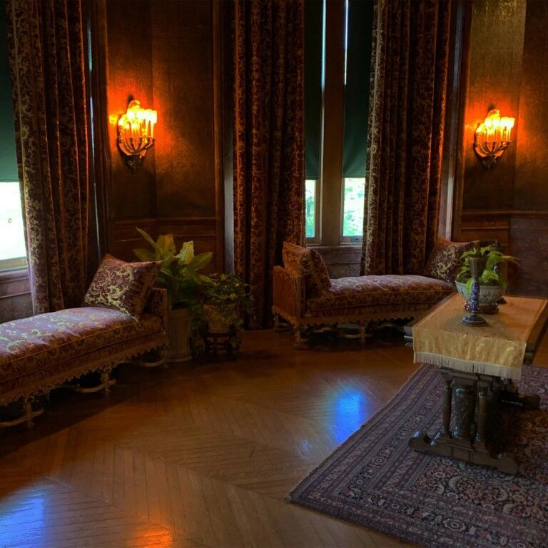 Feit Electric T3 20 Watt Bright White Dimmable G4 Halogen Light Bulb