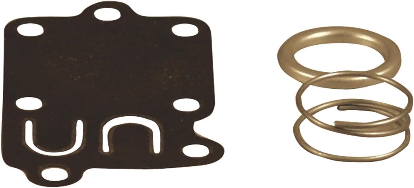 Briggs & Stratton 5021K Diaphragm Kit