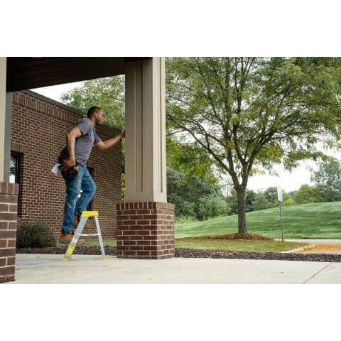 Werner Type IA Aluminum Step Stool, 2-Ft