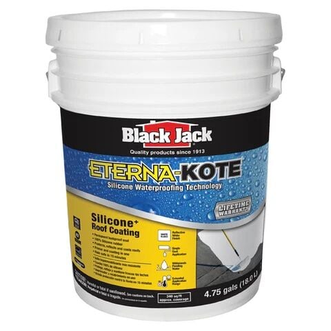 Black Jack Eterna-Kote Silicone Roof Coating, 5-Gal