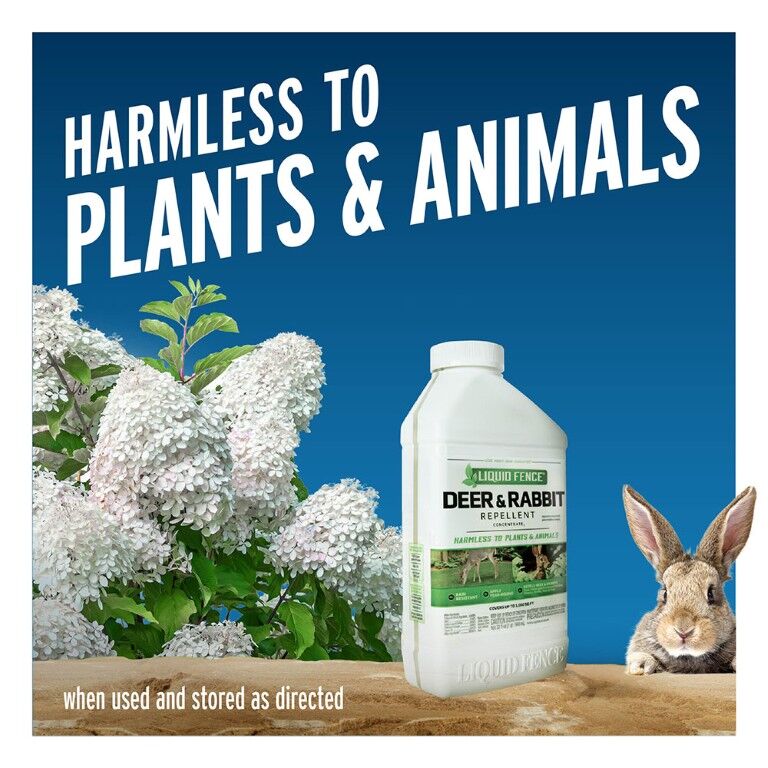Liquid Fence Deer & Rabbit Repellent Concentrate2, 40-Oz