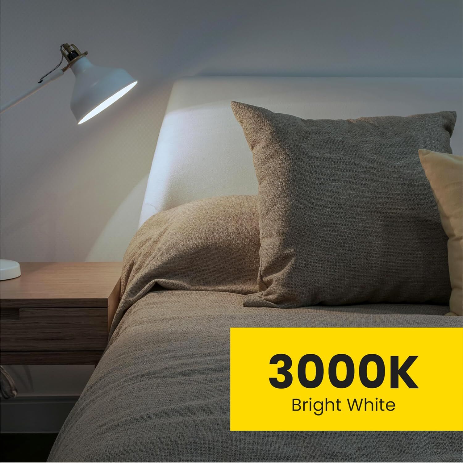 Feit Electric A19 LED Light Bulbs, 60-W, 10-Pk