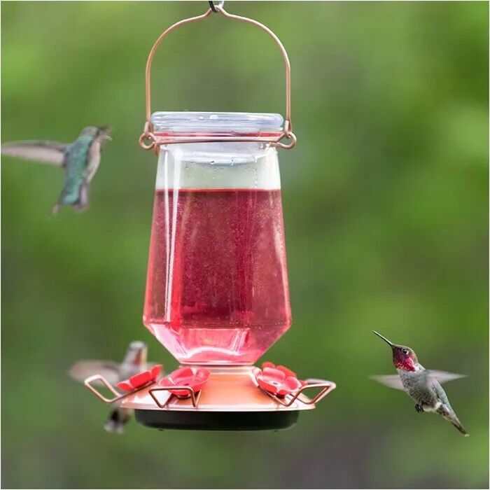 Perky-Pet Ready-To-Use Red Hummingbird Nectar, 16-Oz