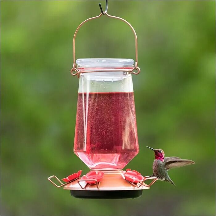 Perky-Pet Ready-To-Use Red Hummingbird Nectar, 16-Oz