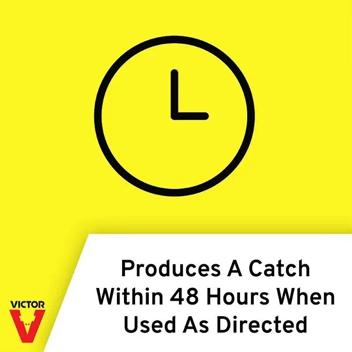 Victor Traps Choker-Style Gopher Trap - 1 lb