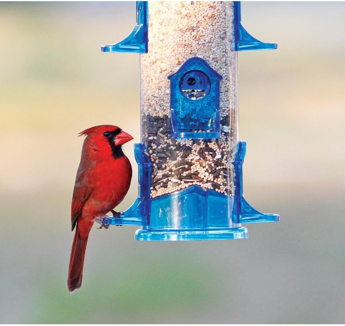 Stokes Select Jumbo Bird Seed Feeder, 18-In, 2.5-Qt