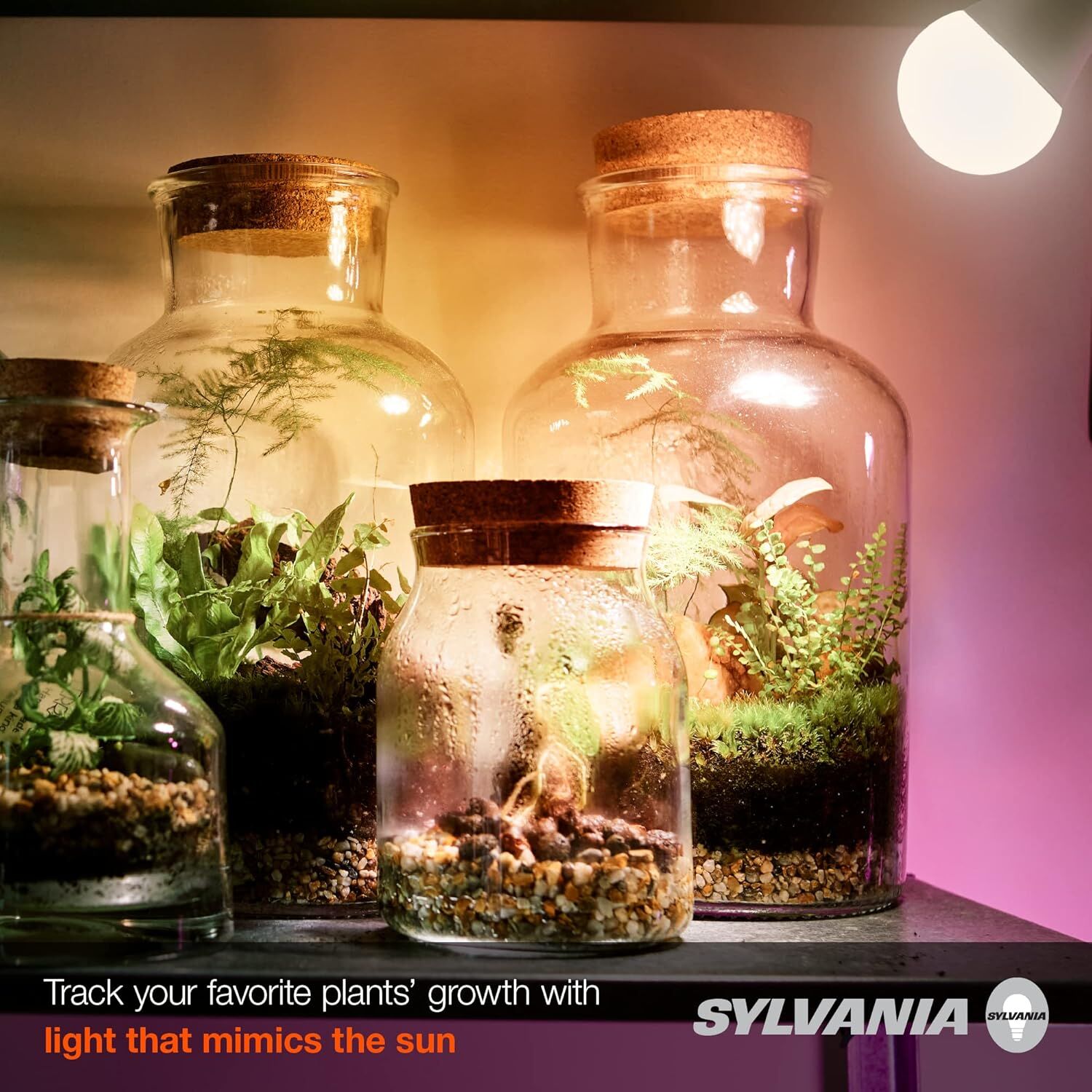 Sylvania A21 17 Watt Frosted Full Cycle Grow LED Light Bulb