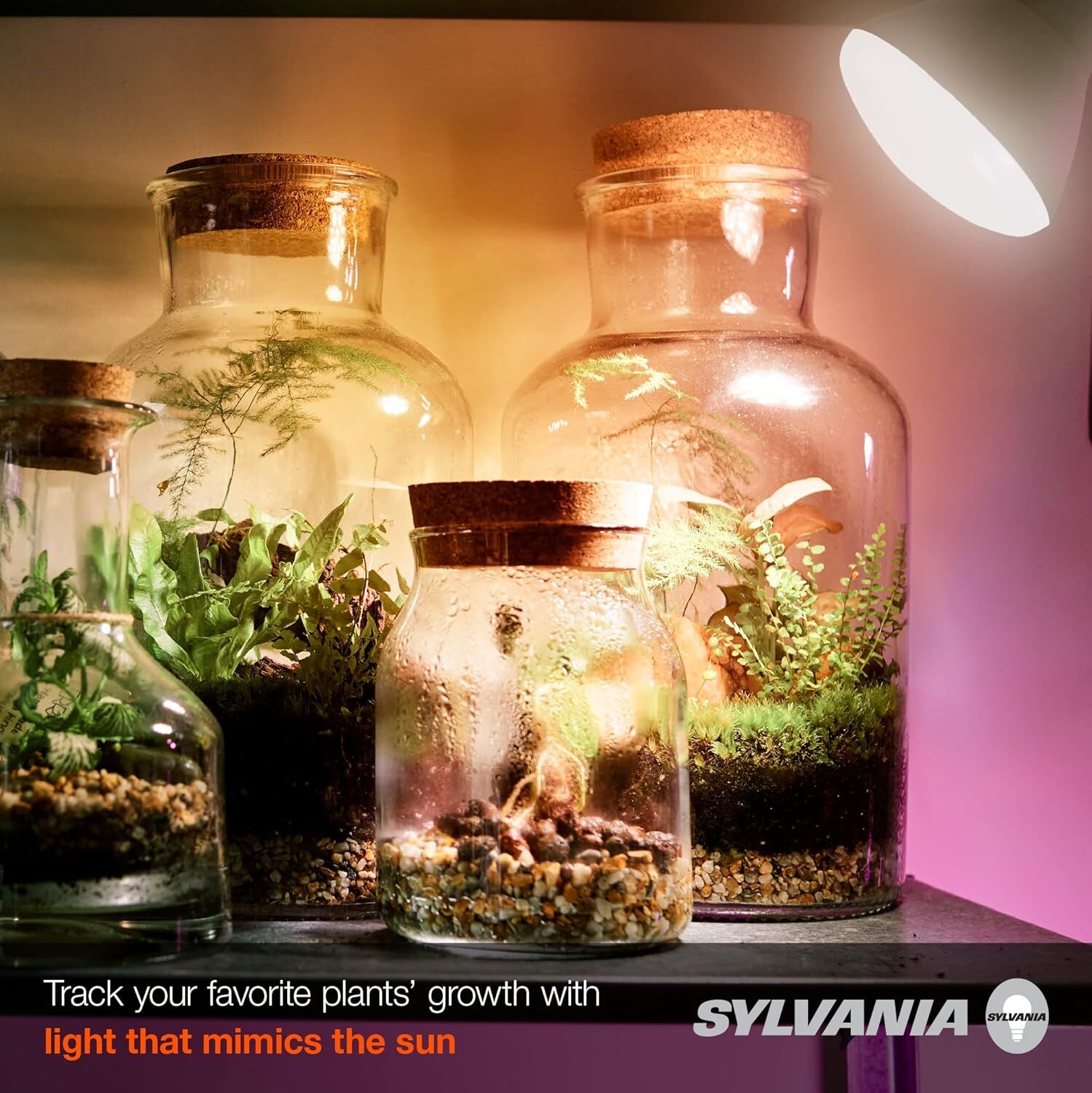 Sylvania BR30 15 Watt Frosted Full Cycle Grow LED Flood Light Bulb