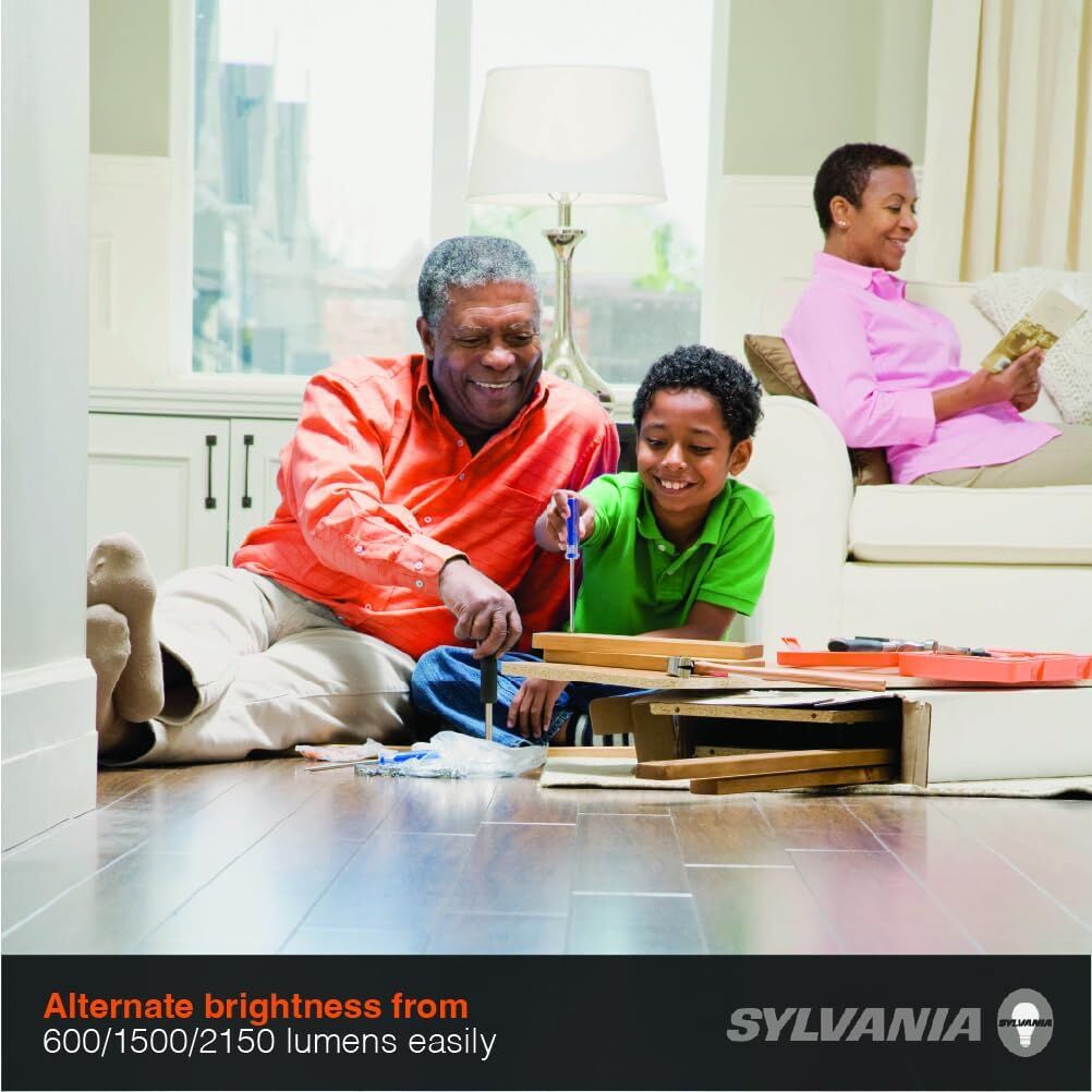 Sylvania A21 6/13/19 Watt Frosted Daylight 3-Way LED Light Bulb