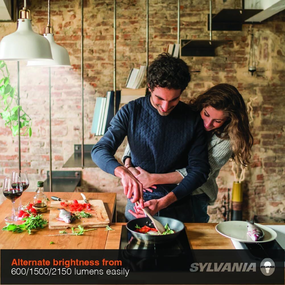 Sylvania A21 6/13/19 Watt Frosted Daylight 3-Way LED Light Bulb