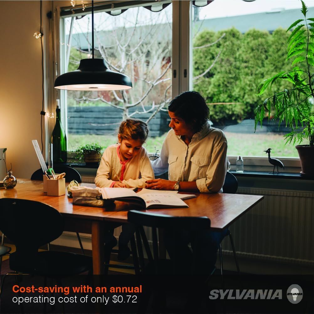 Sylvania A21 6/13/19 Watt Frosted Daylight 3-Way LED Light Bulb