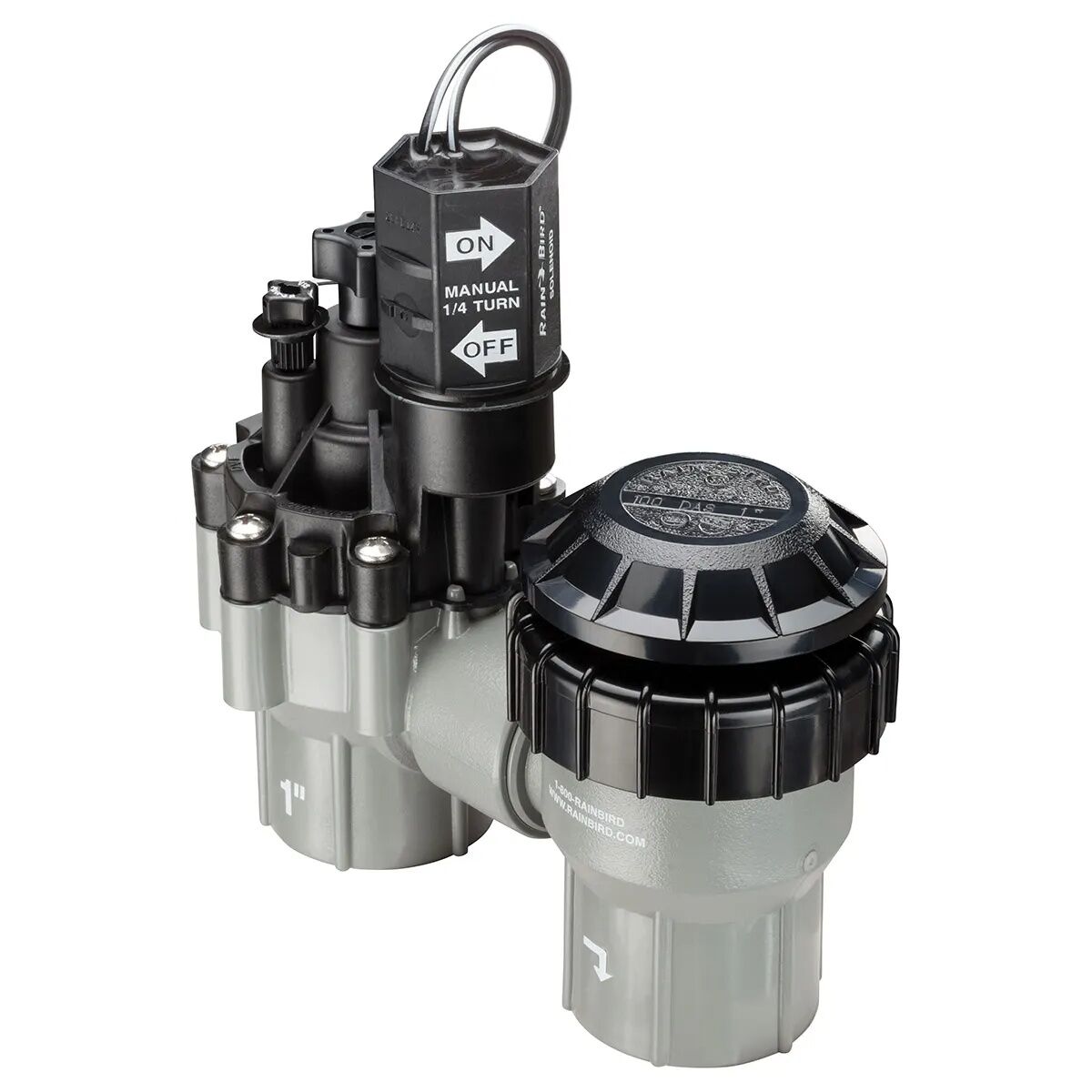 Rain Bird DAS/ASVF Series SureFlow Automatic Anti-Siphon Valve, 1-In FPT