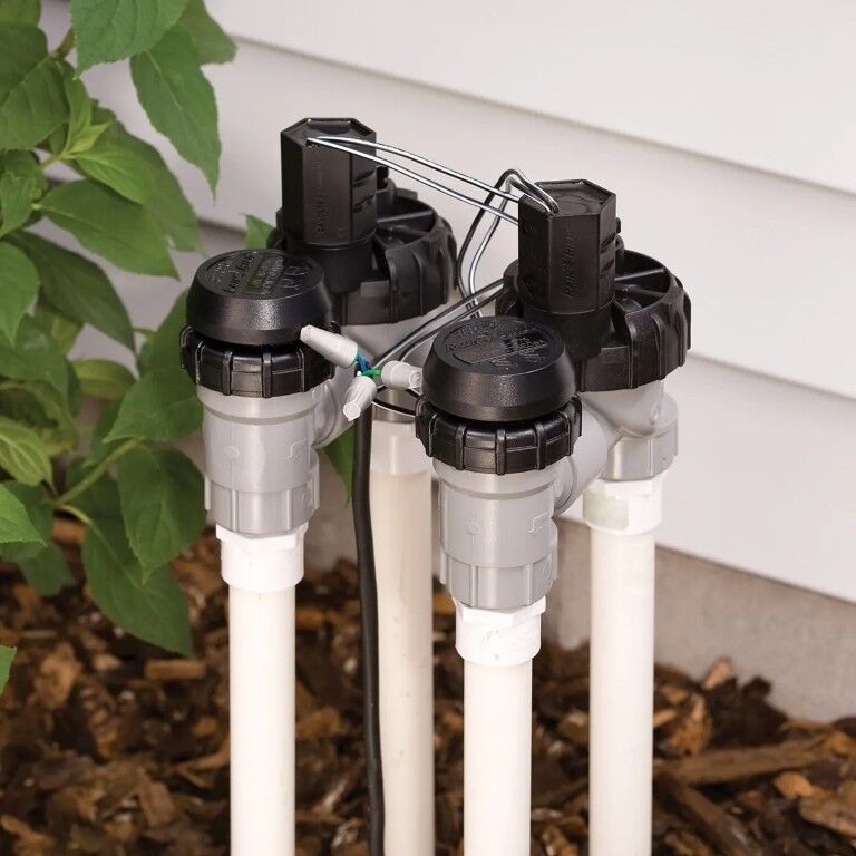 Rain Bird DAS/ASVF Series SureFlow Automatic Anti-Siphon Valve, 1-In FPT