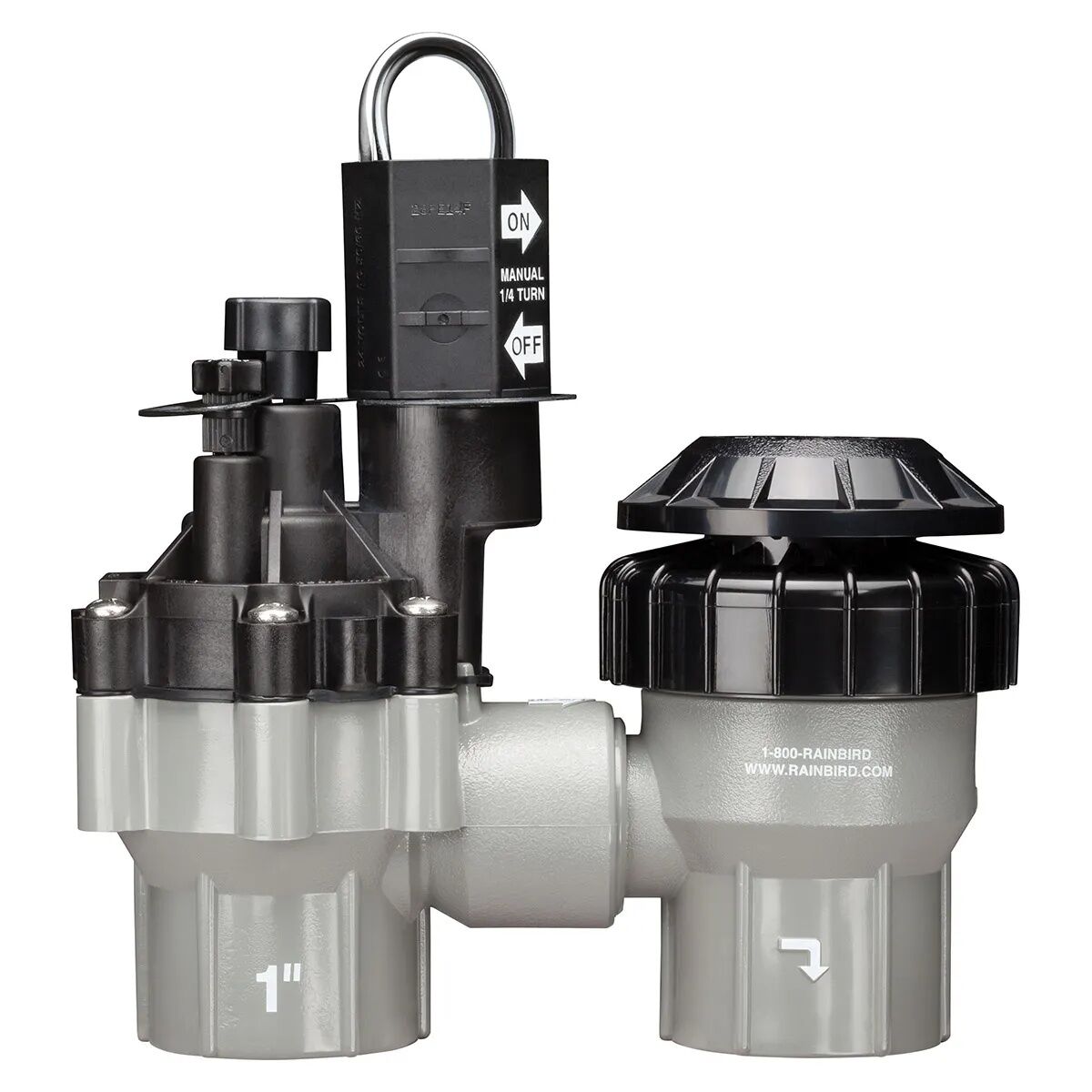 Rain Bird DAS/ASVF Series SureFlow Automatic Anti-Siphon Valve, 1-In FPT