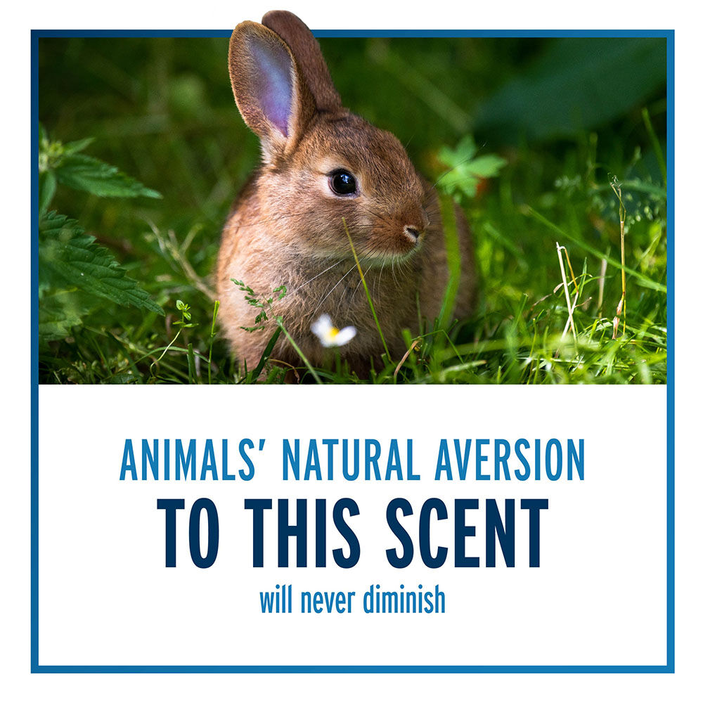 Liquid Fence Deer & Rabbit Repellent Concentrate, 1-Gal