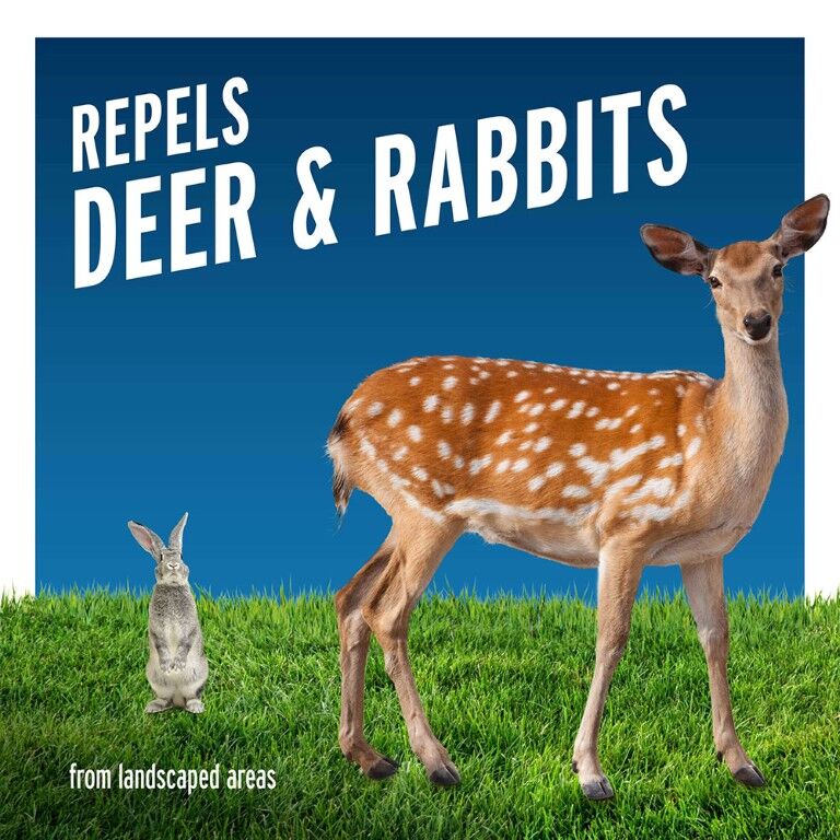 Liquid Fence Deer & Rabbit Repellent Concentrate, 1-Gal