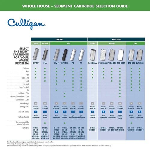 Culligan Whole House Standard Duty Valve-in-Head Water Filter System With P5 cartridge