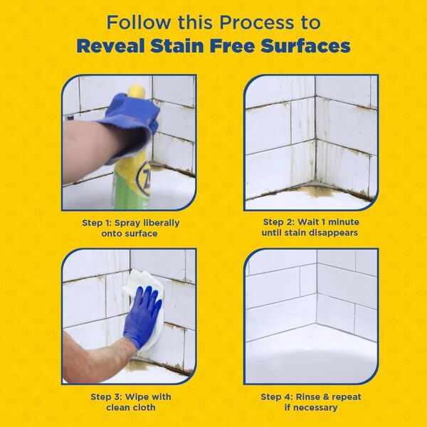 Zep Mold stain & Mildew Stain Remover, 32-Oz