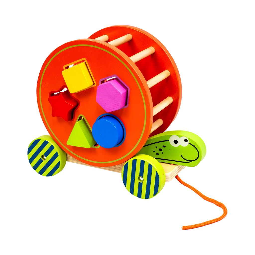 Real Wood Toys Pull Along Turtle