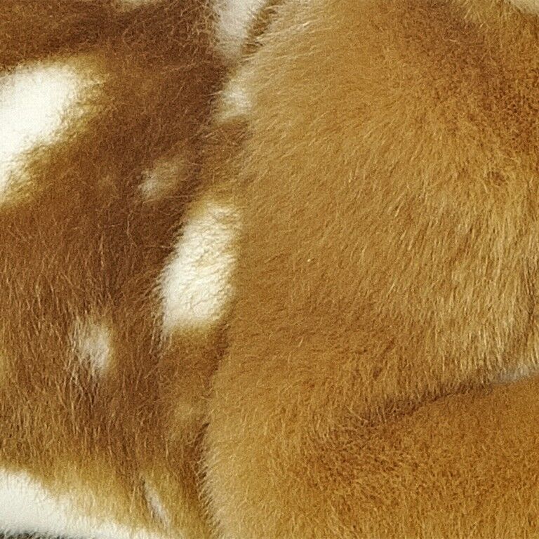 Aurora Miyoni Fawn, 8-In