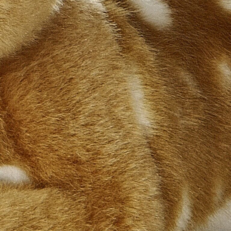 Aurora Miyoni Fawn, 8-In