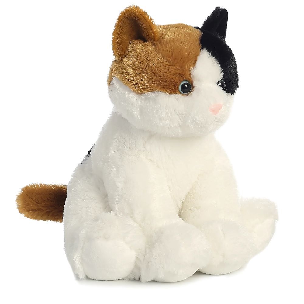 Aurora Esmeralda, 14-In