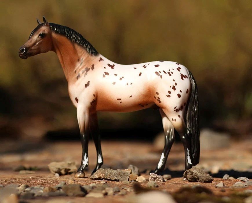 Breyer The Ideal Series Pony of the Americas Toy