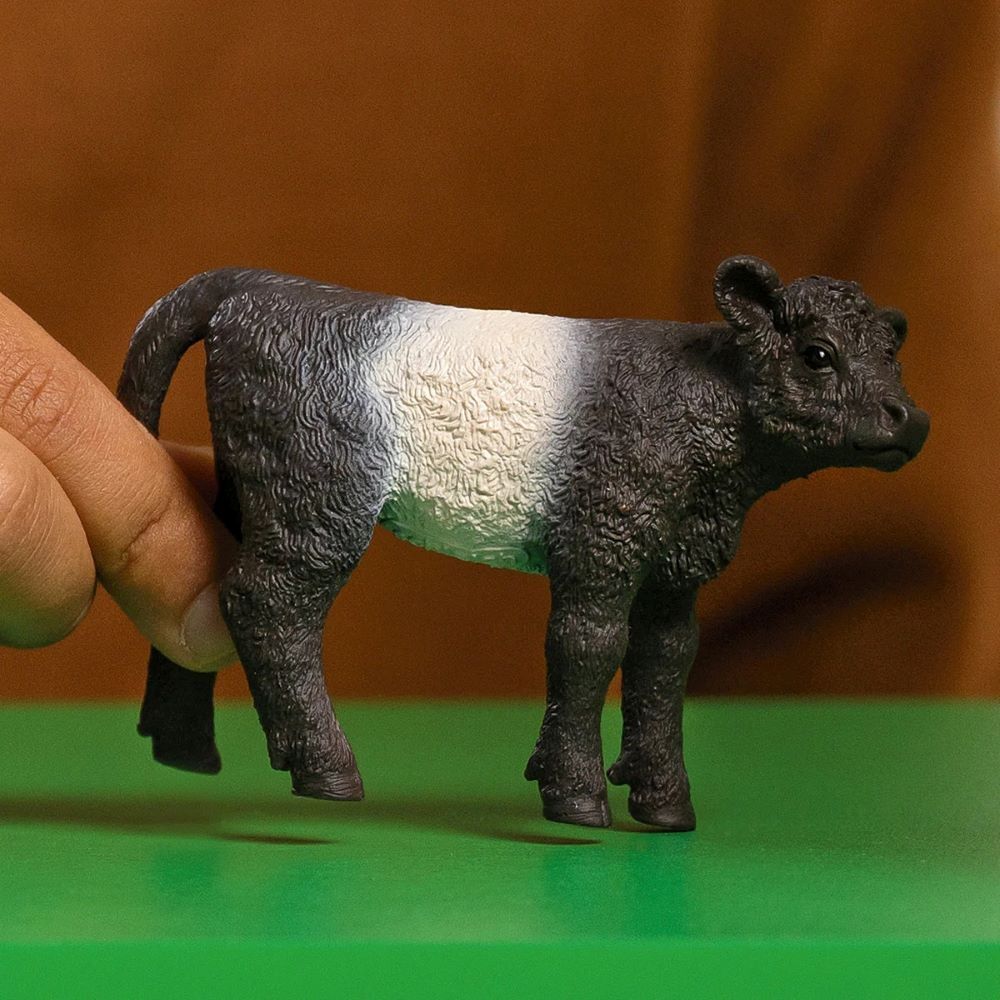 Schleich Galloway Calf Toy