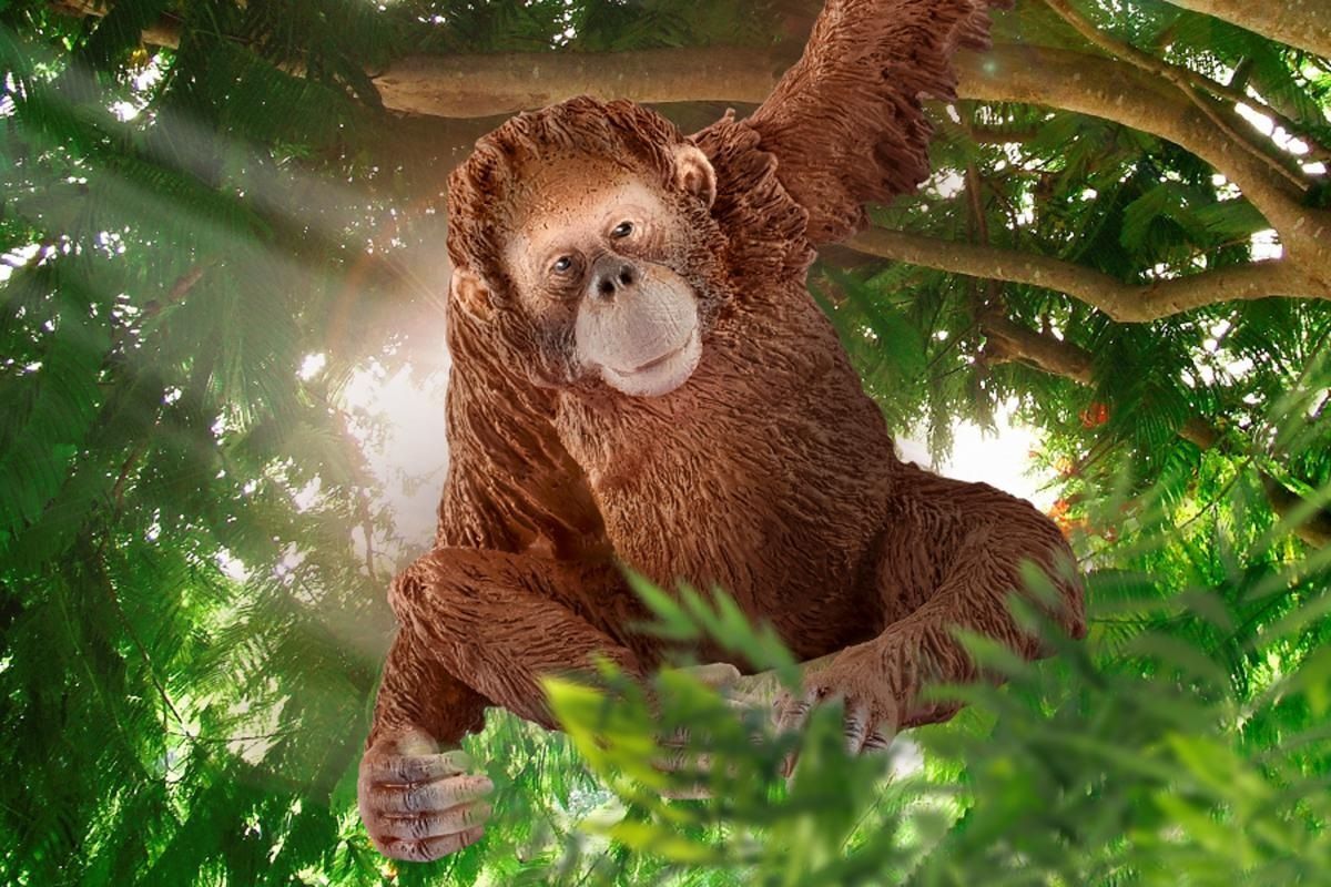 Schleich Female Orangutan Toy