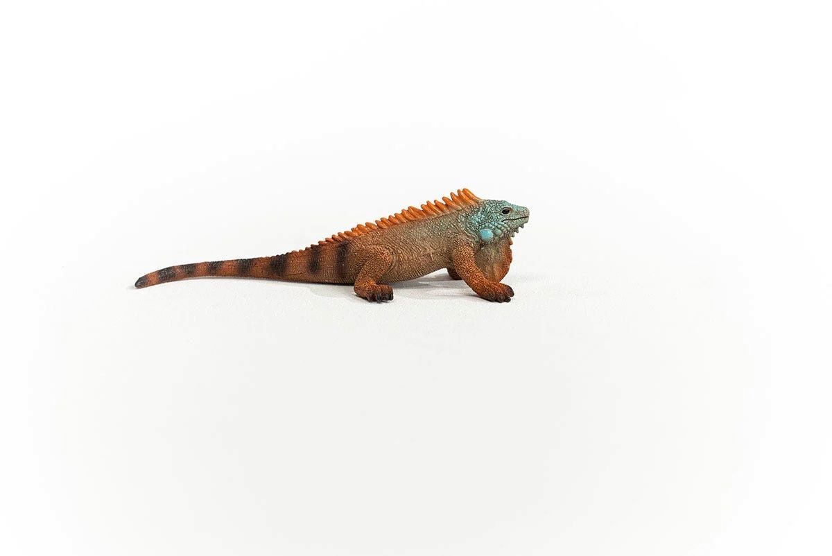 Schleich Iguana Toy
