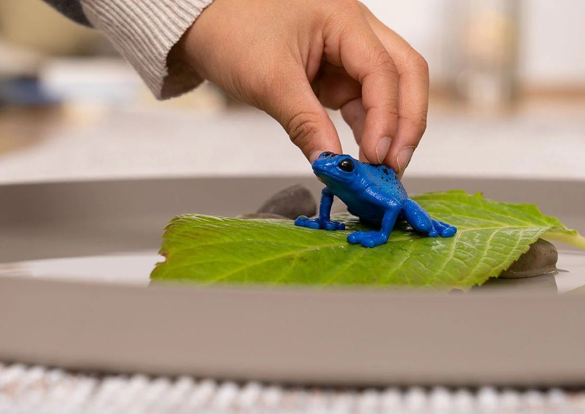 Schleich Blue Poison Dart Frog Toy
